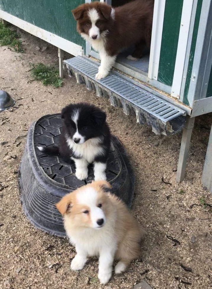 WhatsApp Image 2025-11-30 at 17.51.04