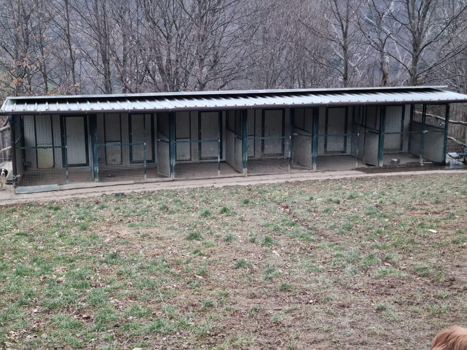 WhatsApp Image 2025-11-30 at 17.52.15 (1)