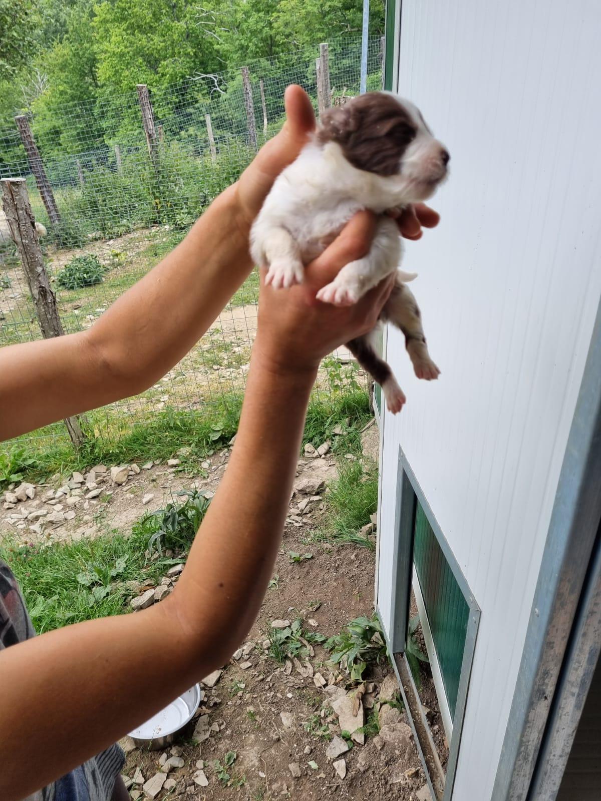 WhatsApp Image 2025-11-30 at 17.57.08