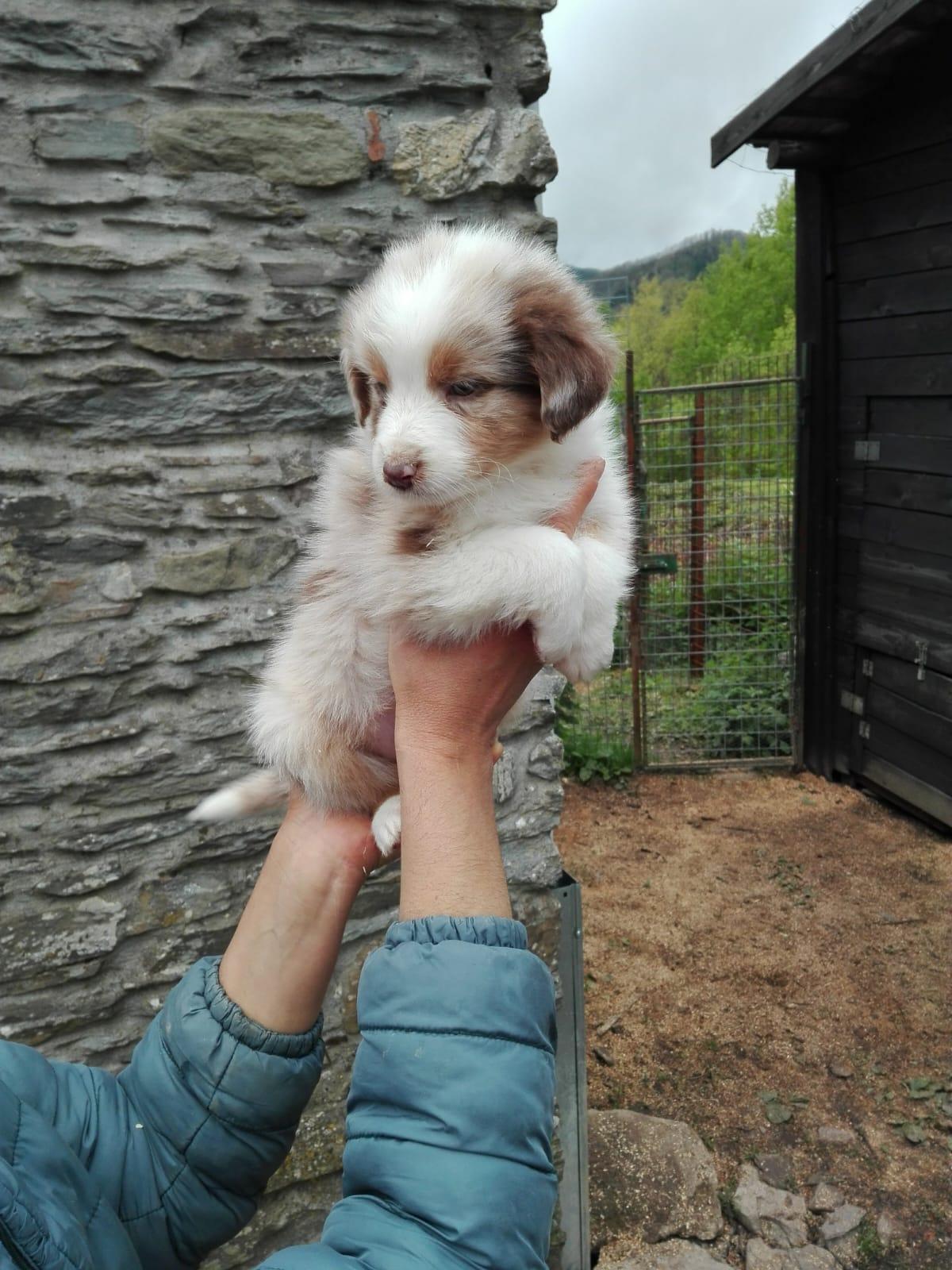 WhatsApp Image 2025-11-30 at 17.58.05