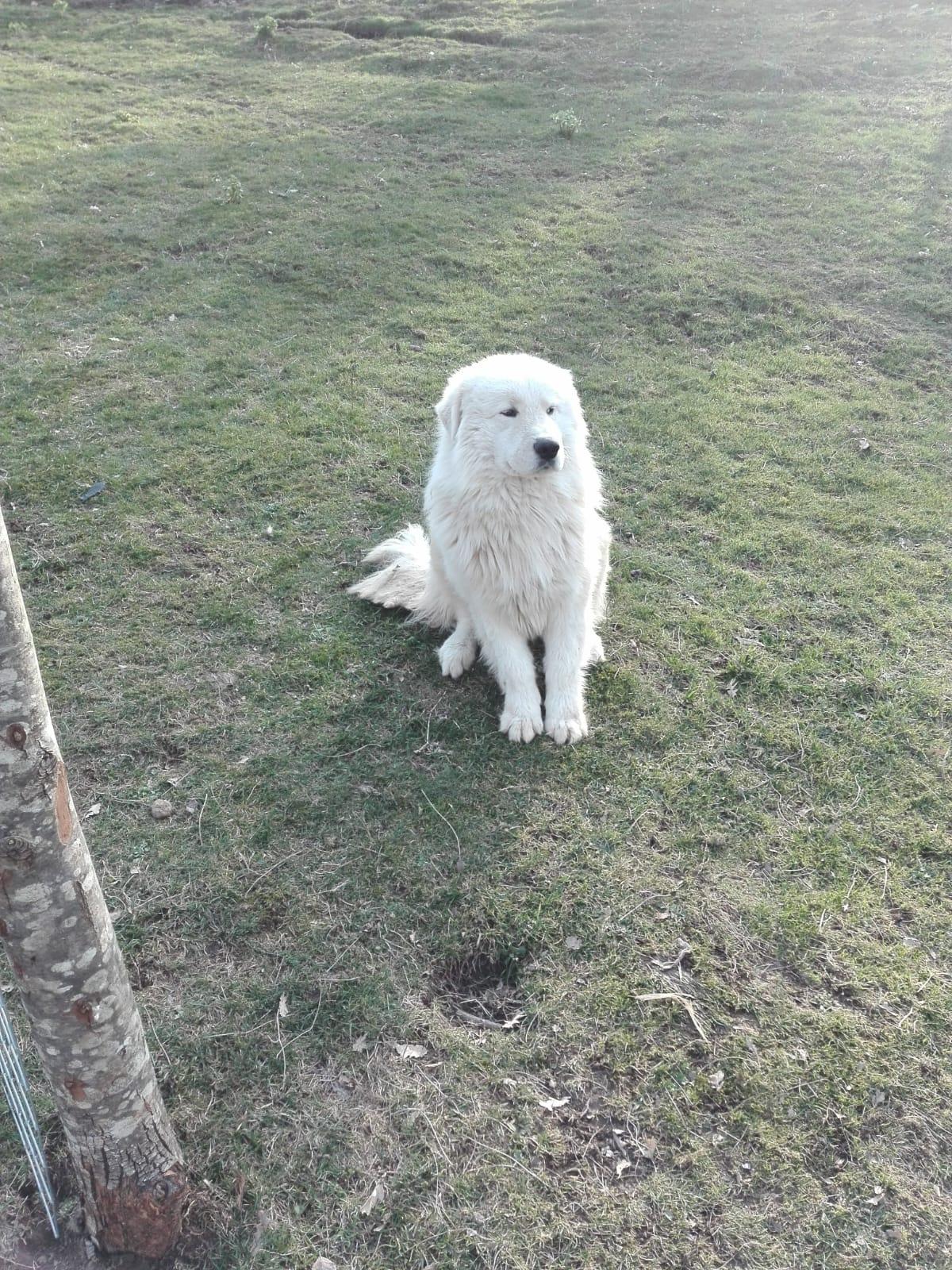 WhatsApp Image 2025-11-30 at 17.58.07