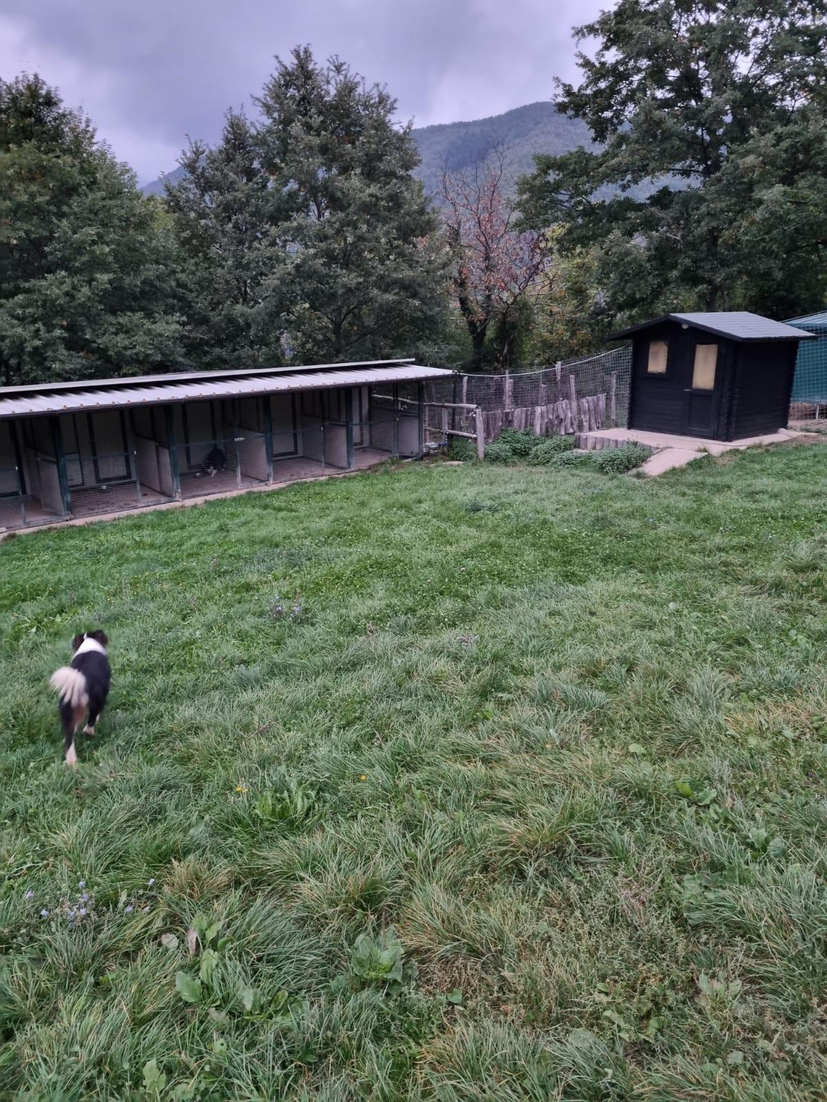 WhatsApp Image 2025-12-01 at 16.29.49 (1)