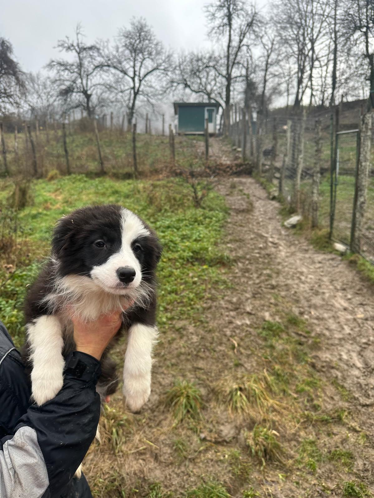 WhatsApp Image 2025-12-20 at 21.41.46 (1)