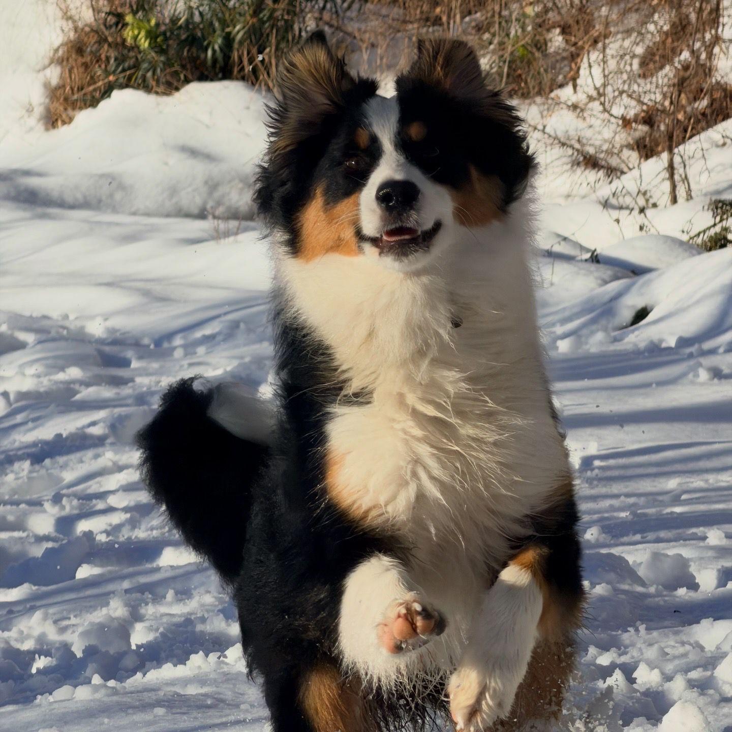 WhatsApp Image 2026-02-07 at 20.44.48 (4)