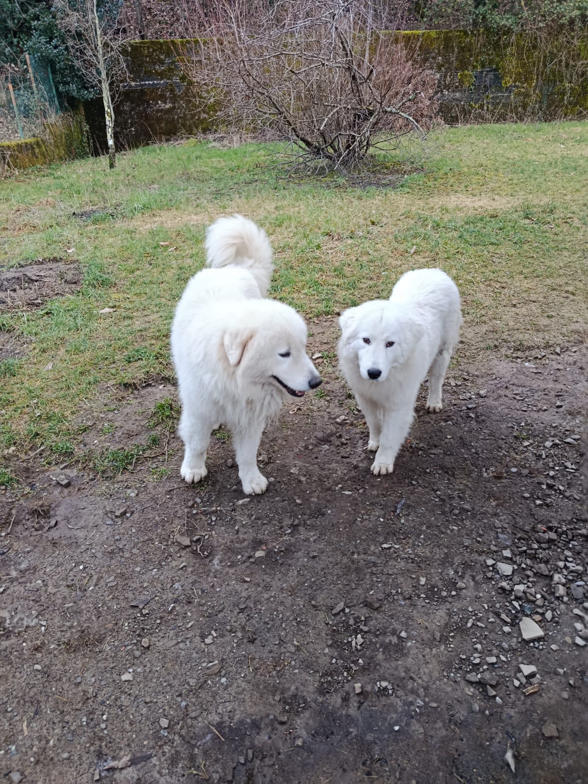 WhatsApp Image 2026-03-12 at 10.39.23