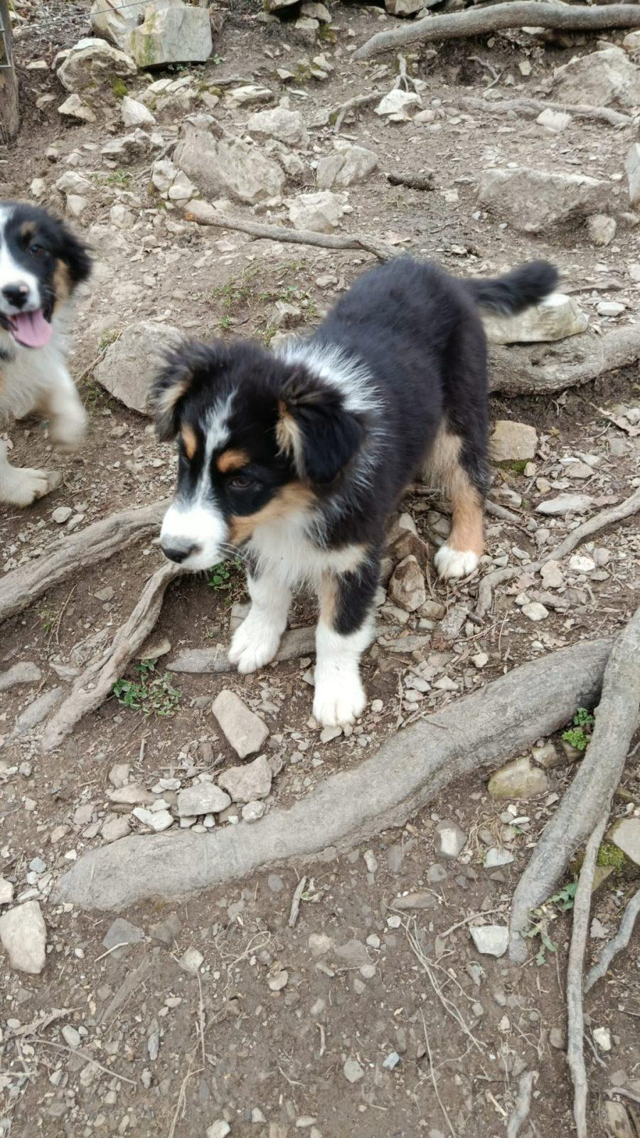 WhatsApp Image 2026-03-12 at 10.58.27