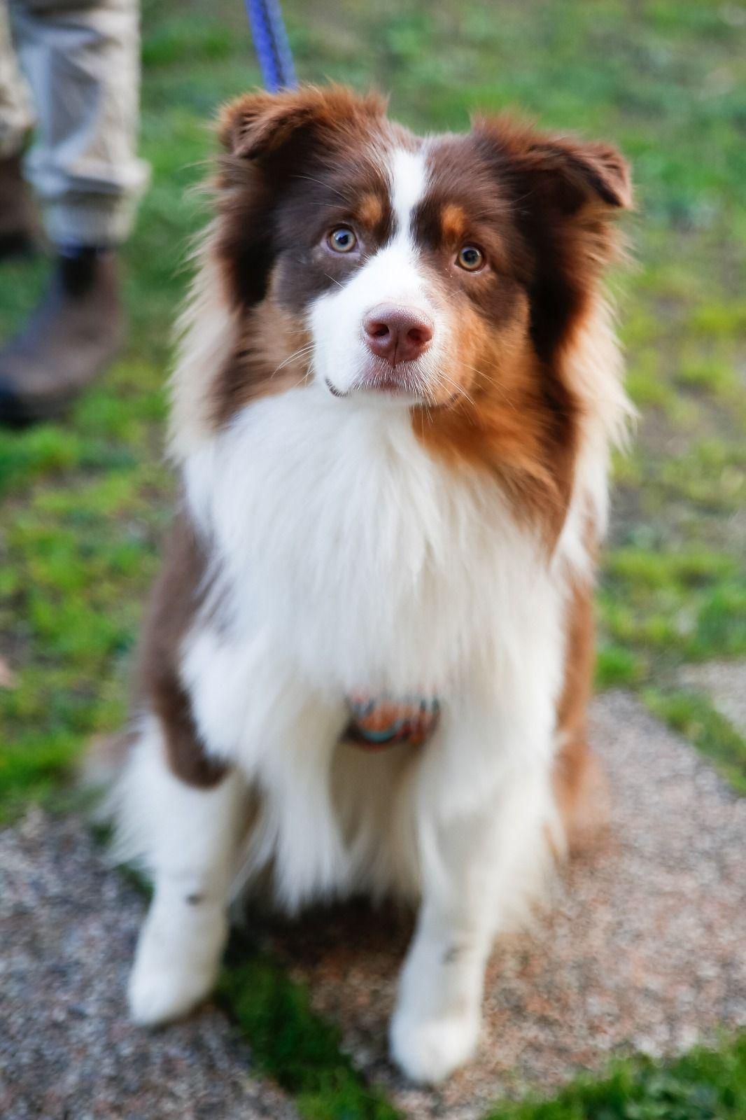 WhatsApp Image 2026-03-23 at 08.47.06