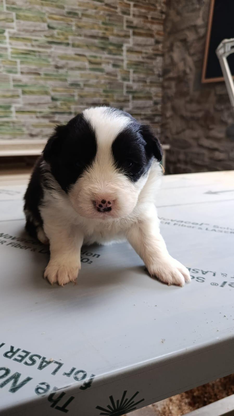 WhatsApp Image 2026-03-31 at 10.40.15