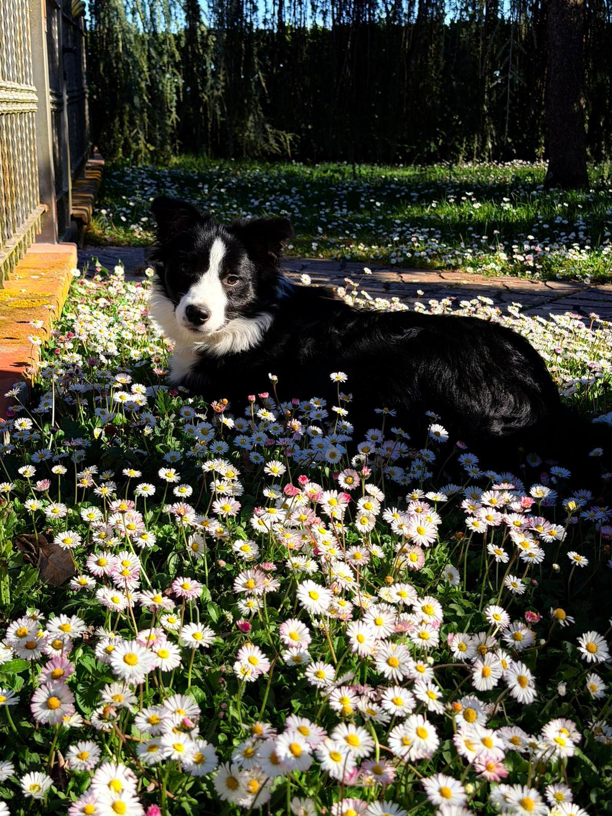 WhatsApp Image 2026-04-08 at 13.57.03 (1)